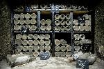 Дегустация крымских вин в Массандре