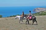 Конная прогулка "Красоты Коктебеля" 2 часа