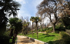 Алупкинский парк