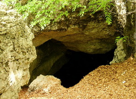 Пещера Холодная