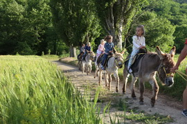 Ферма "Ишачок"