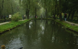 Форельное хозяйство