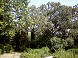 Форосский парк