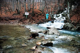 Источник Пания