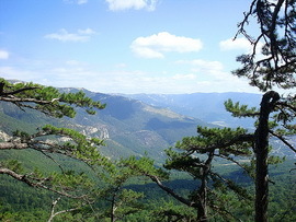 Ялтинский горно-лесной природный заповедник
