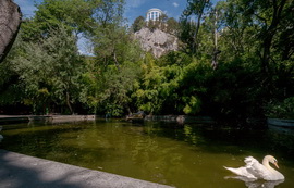 Лебединое озеро