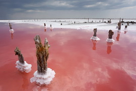 Озеро Сасык-Сиваш