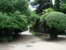 Парк Гурзуфского военного санатория