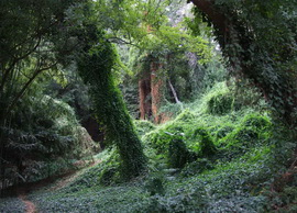 Парк приключений в Никите