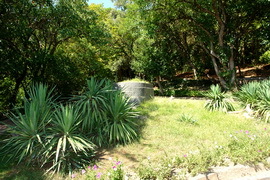 Парк санатория "Утес"