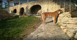 Сафари-парк в Геленджике