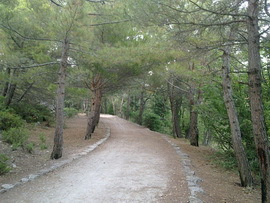 Солнечная тропа