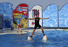 Театр морских животных «Акватория»