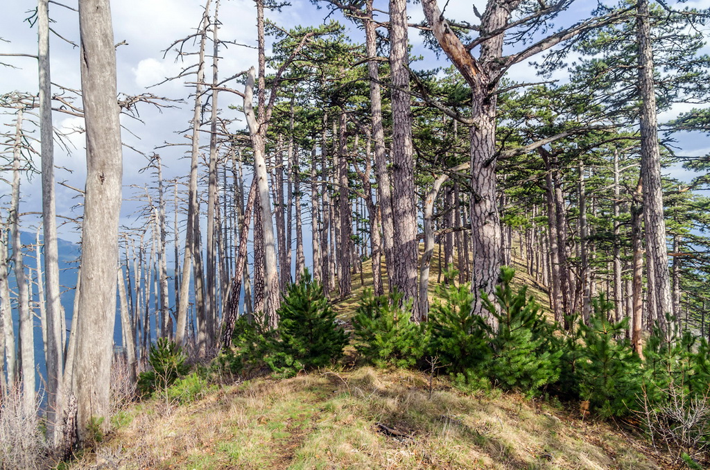 Урочище Кизил-Кая