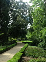 Экскурсия в Никитский ботанический сад из Ялты