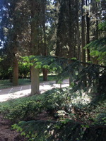 Экскурсия в Никитский ботанический сад из Ялты