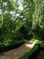 Экскурсия в Никитский ботанический сад из Ялты