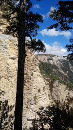 Боткинская тропа здоровья и Ай-Петри