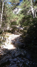 Боткинская тропа здоровья и Ай-Петри