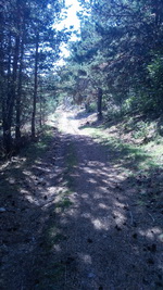 Однодневный поход на Роман-Кош (1 545 м. над уровнем моря)