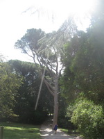 Экскурсия в Воронцовский дворец в Алупке