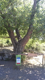 Долина Приведений и гора Демерджи