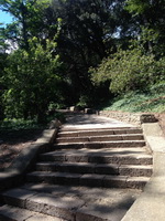 Фотографии Никитского Ботанического сада