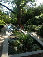 Фотографии Никитского Ботанического сада