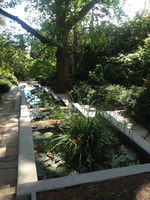 Фотографии Никитского Ботанического сада